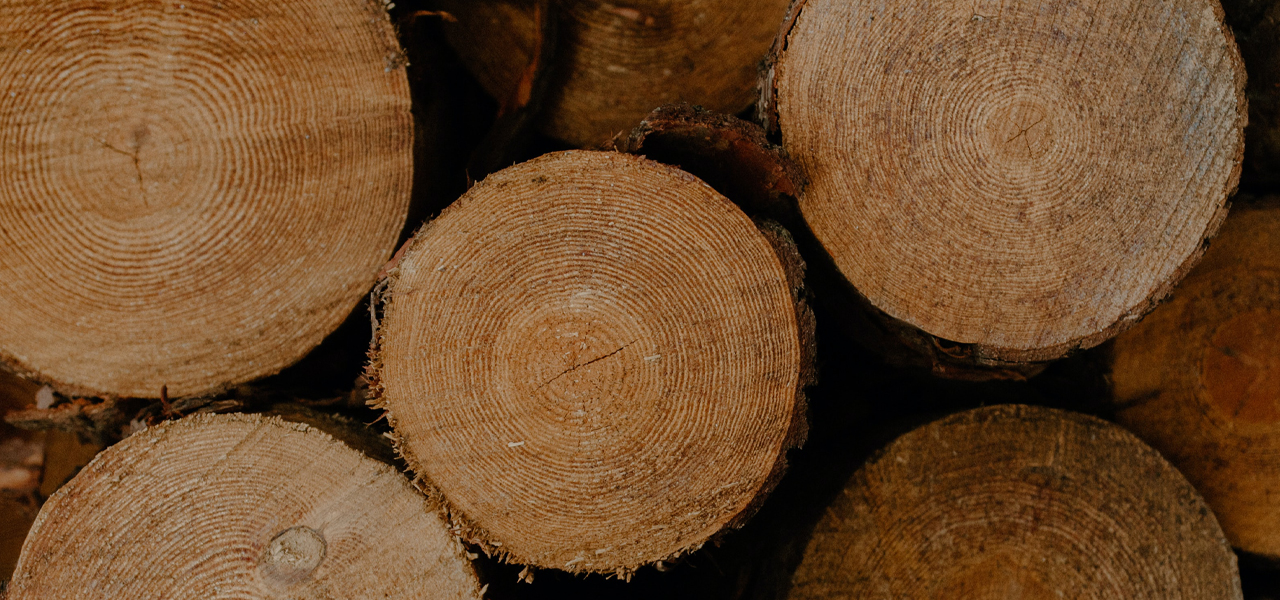 green logs sealed on end grain